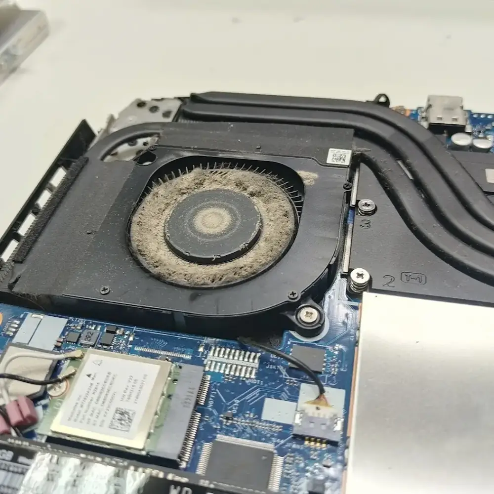 Dusty motherboard fan and wifi card